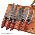 5 Piece Handmade Damascus Kitchen Knife Set with Leather Roll | Forged Damascus Steel Chef Knives | Hard Pakka Wood & Micarta Handles | Professional Cutlery Collection